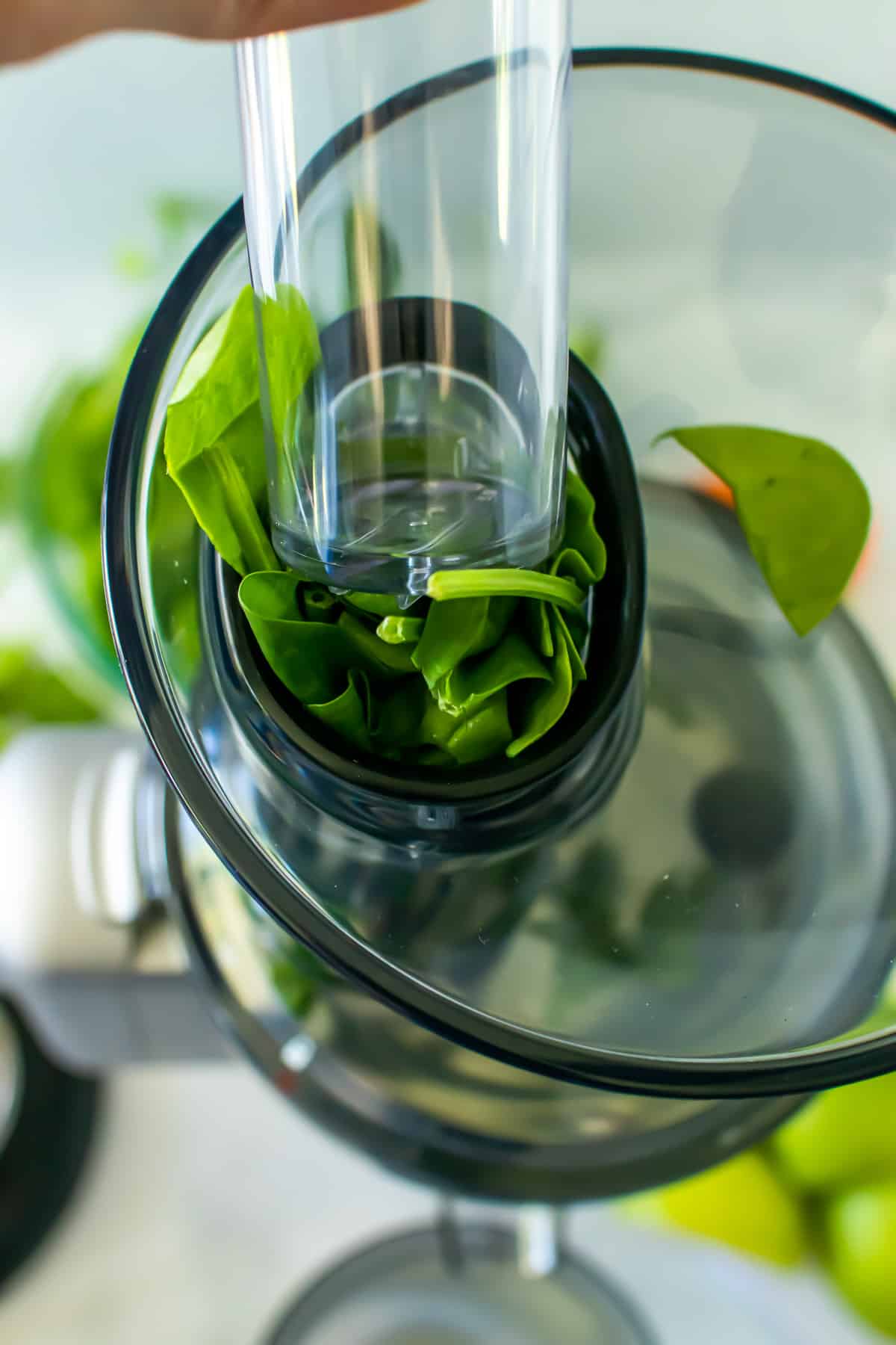 Baby spinach feeding into a juicer