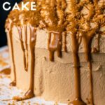 Vegan Biscoff Cake