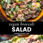 Vegan Broccoli Salad