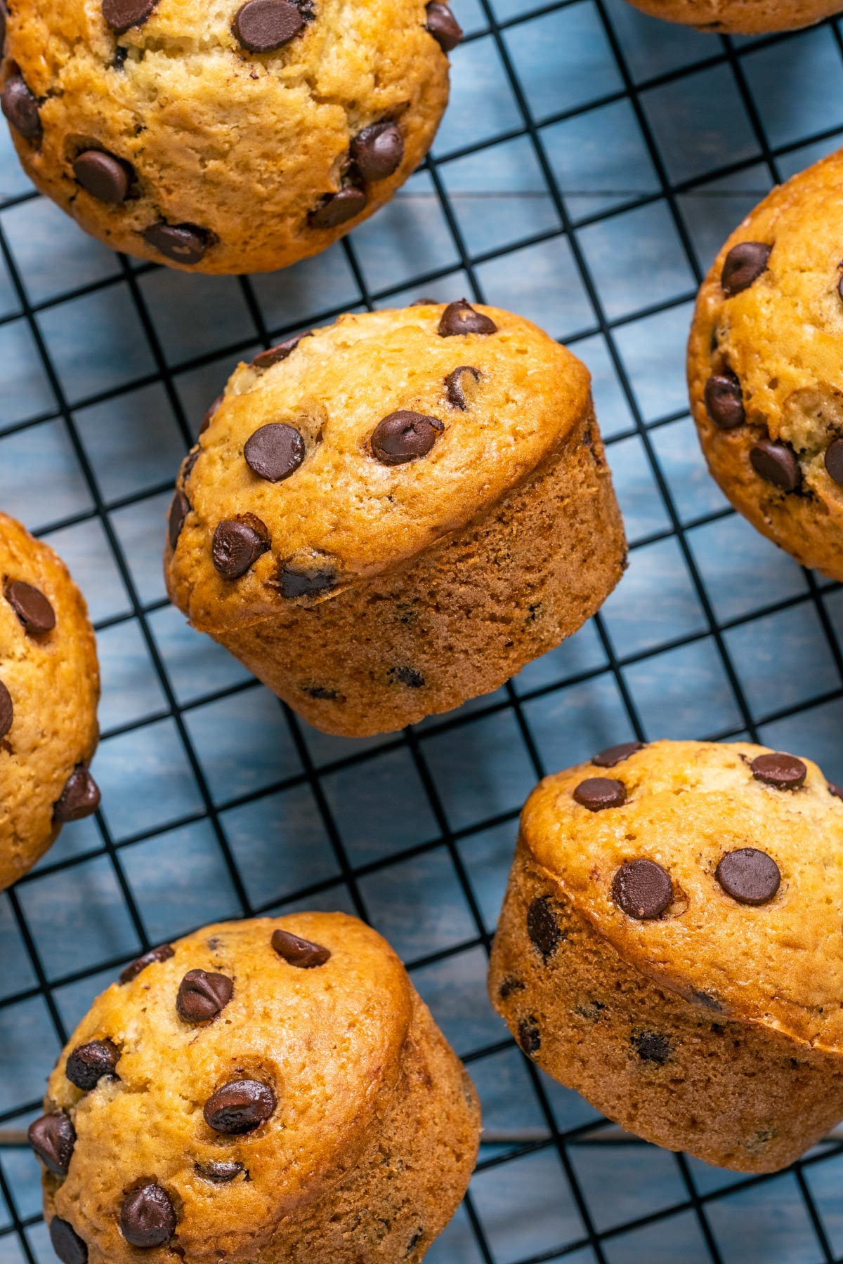 Vegan chocolate chip muffins on a wire cooling rack.