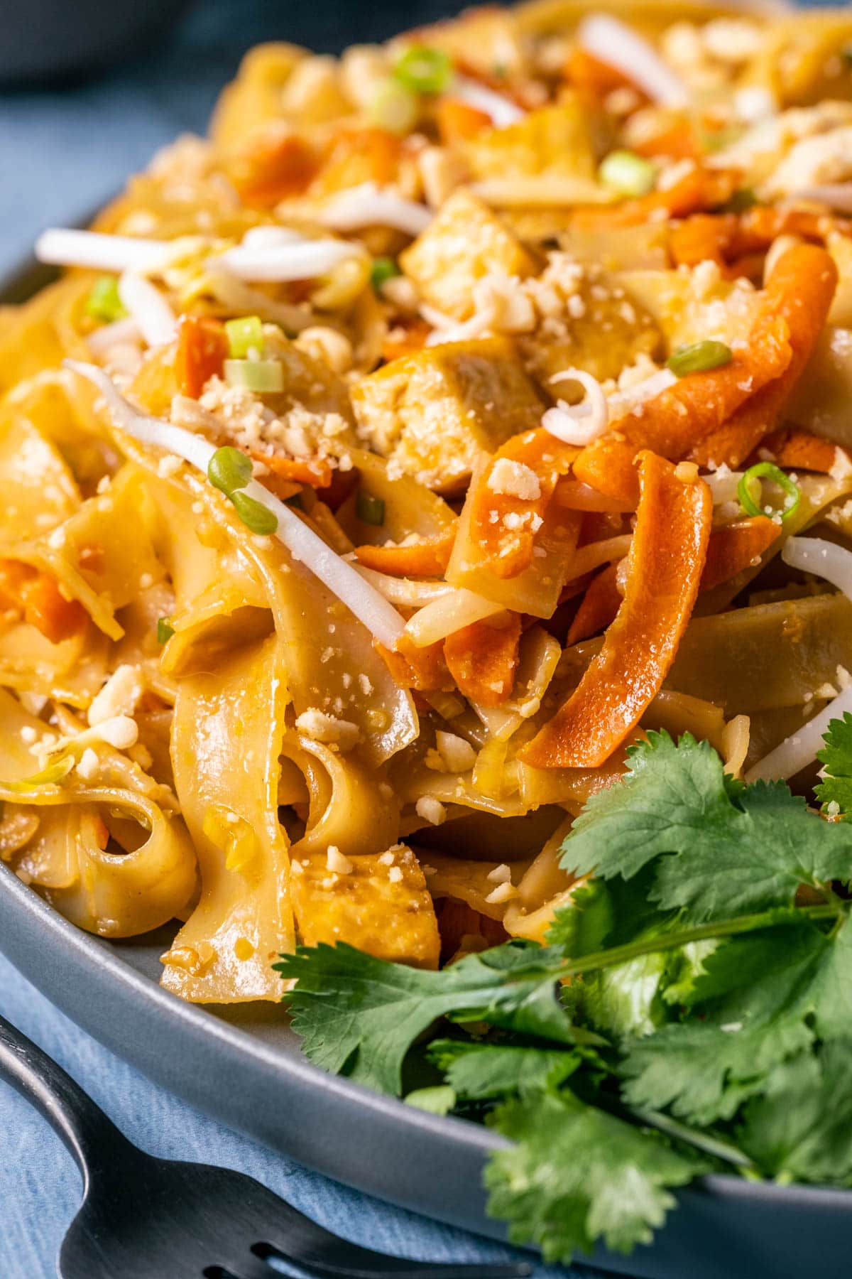 Vegan pad thai on a gray plate with bean sprouts, peanuts and cilantro.